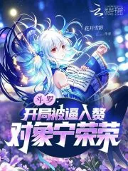 斗罗:开局被逼入赘,对象宁荣荣